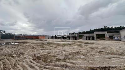 12_6a308594-21a2-4cb9-9092-bf4951f2ed8c