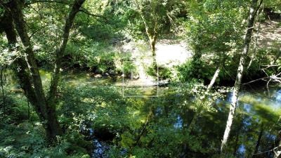 1_a8a13735-3fea-44a8-8ef3-6ec882a6a98e