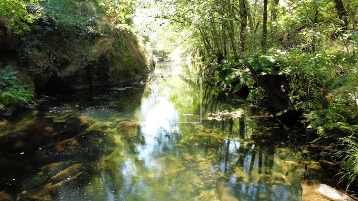 Image No.8-Terre à vendre à Amarante