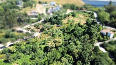 11_ff4b15fd-d196-49ed-8b5c-4ce27f6944b3