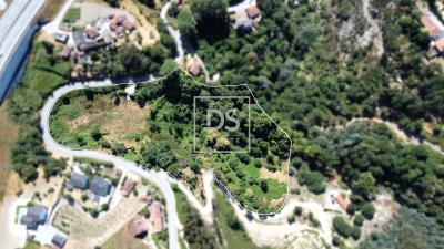 12_185ce714-c9bd-4b81-b092-84fa70251c29