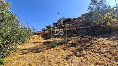 8_8c4d9132-7e89-4d6d-beb2-beccbb38eb09