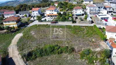 12_77ee0b5c-88a6-44a6-b67d-d38c6f1e85e8