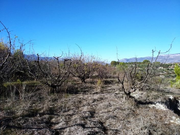 Image No.4-Propriété à vendre à Benillup