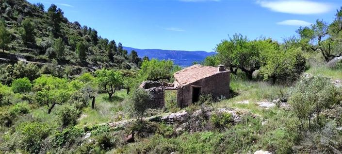 Image No.4-Finca for sale