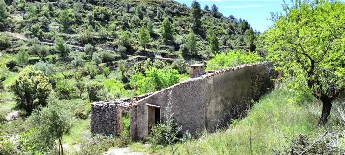 Image No.5-Finca for sale