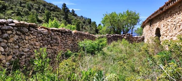 Image No.8-Finca for sale