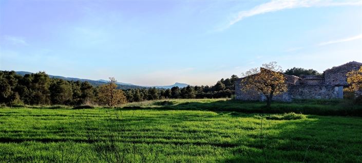 Image No.2-Finca à vendre à Bocairent