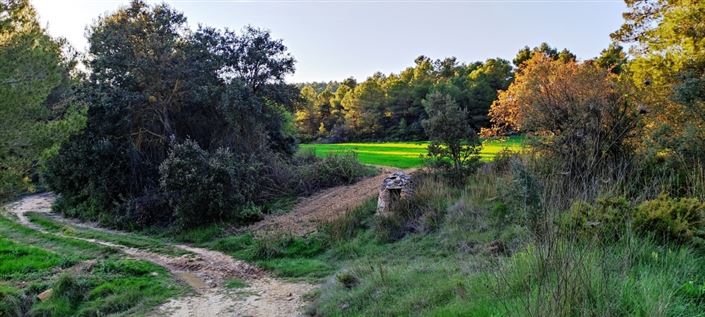 Image No.6-Finca à vendre à Bocairent
