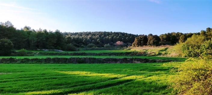 Image No.7-Finca à vendre à Bocairent