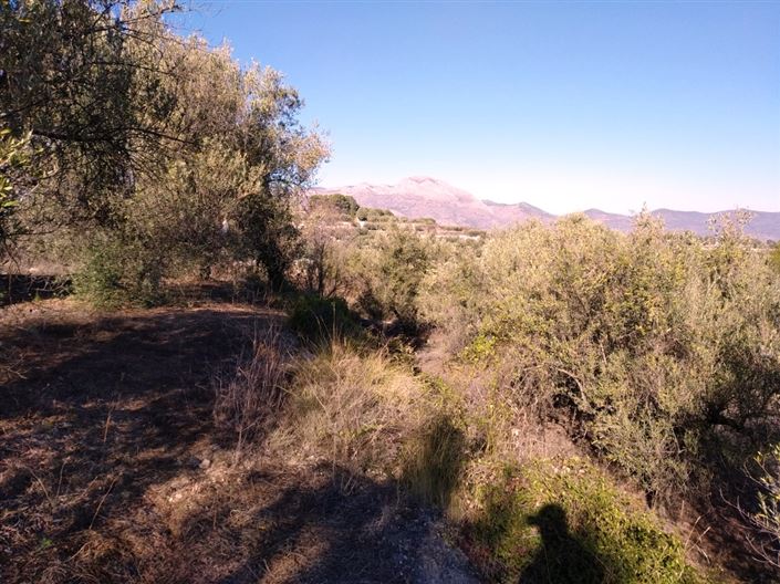 Image No.8-Property for sale