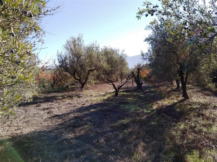 Image No.9-Property for sale