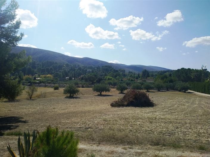 Image No.5-Finca à vendre à Ontinyent