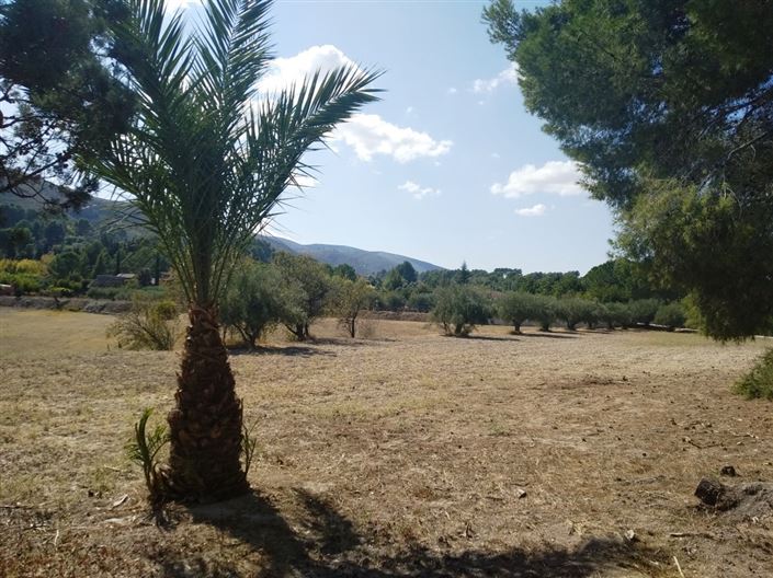 Image No.8-Finca à vendre à Ontinyent