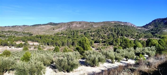 Image No.4-Propriété à vendre à Planes