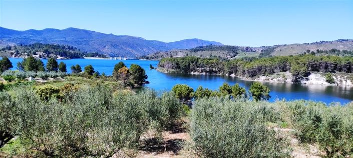 Image No.5-Propriété à vendre à Planes