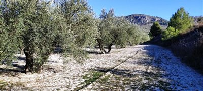 o1fr6vkv651t0toupak51ik51p5a23