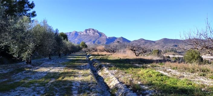 Image No.7-Propriété à vendre à Planes