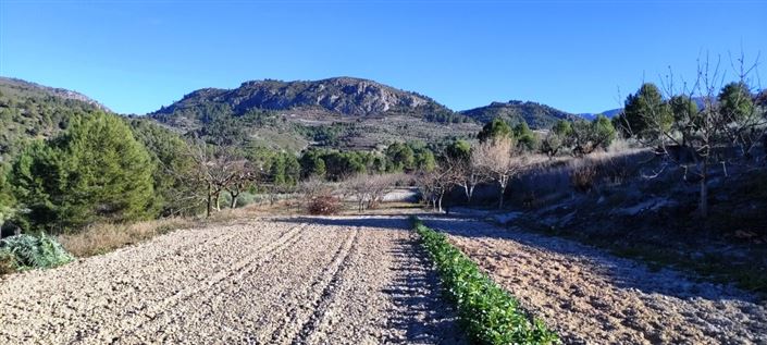 Image No.8-Propriété à vendre à Planes