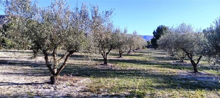 Image No.9-Propriété à vendre à Planes