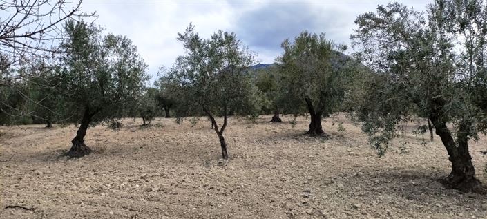 Image No.10-Propriété à vendre à Penáguila