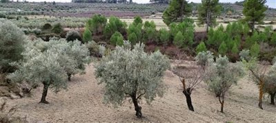 o1fm85848mbd4jmc12pmsfh1m481u