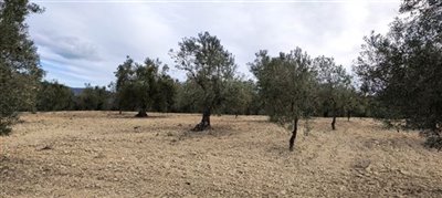 o1fm85848m1v23s7b1luf2513mf21