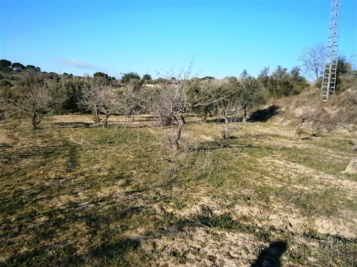 Image No.2-Propriété à vendre à Agullent