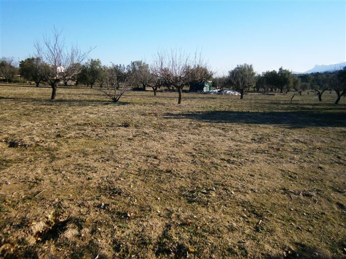 Image No.4-Propriété à vendre à Agullent