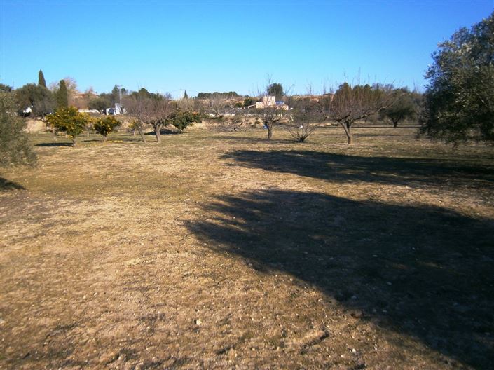 Image No.5-Propriété à vendre à Agullent