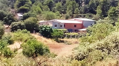 o1cjl8vkdojm01f18k4p8sj15mh2v