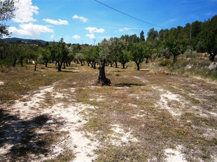 Image No.6-Maison de campagne à vendre à Penáguila