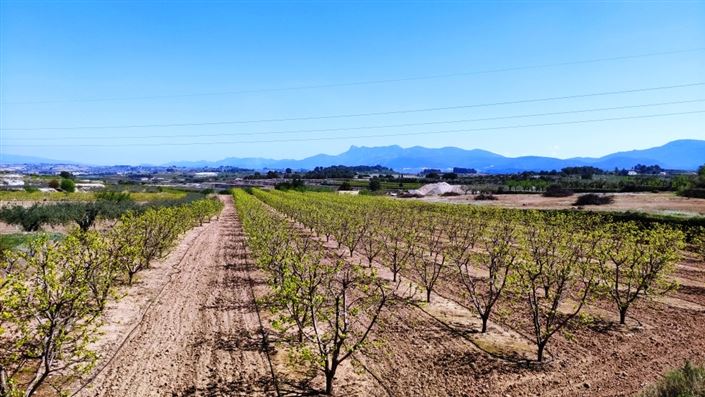 Image No.3-Maison de campagne à vendre à Agullent