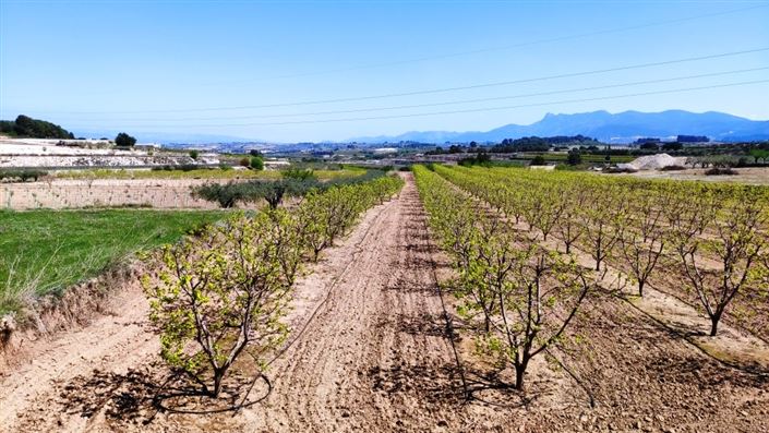 Image No.4-Maison de campagne à vendre à Agullent