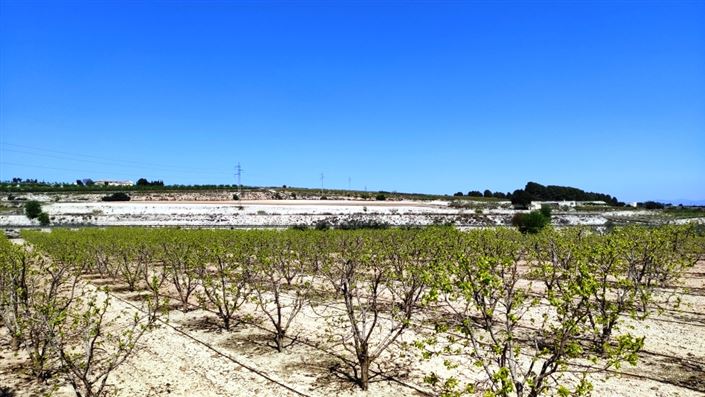 Image No.6-Maison de campagne à vendre à Agullent