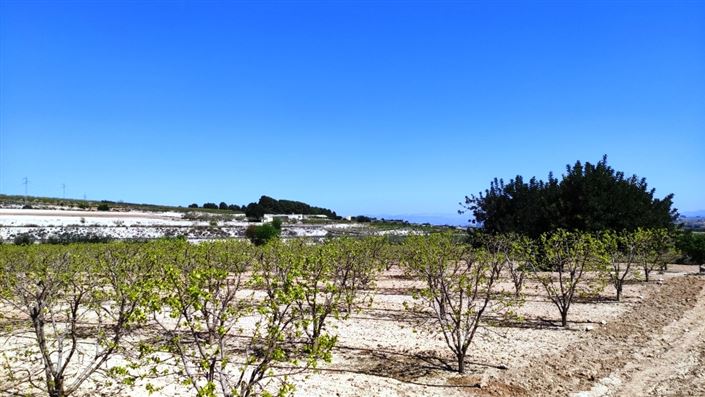 Image No.7-Maison de campagne à vendre à Agullent