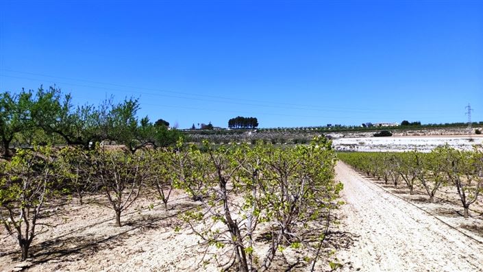 Image No.9-Maison de campagne à vendre à Agullent