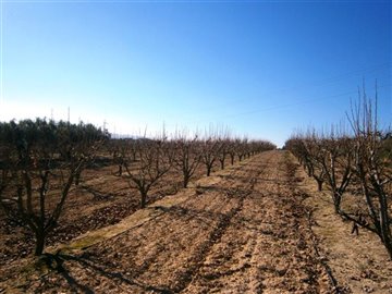 o1cvfvoentp7c1912qhha56kqr1i