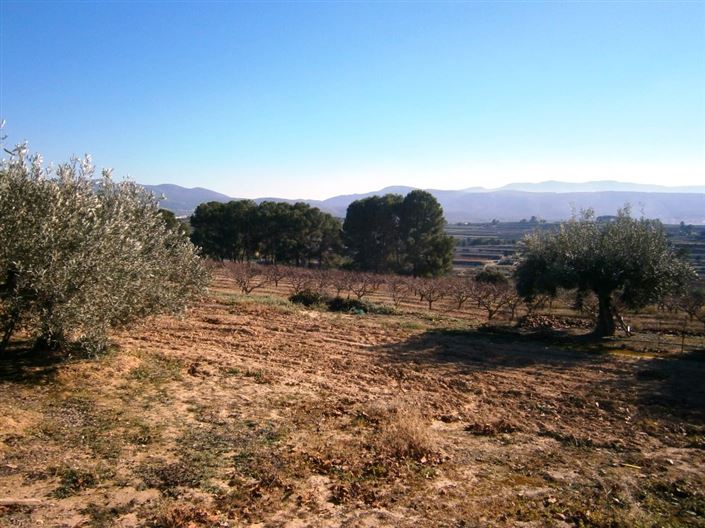 Image No.7-Maison de campagne à vendre à Agullent