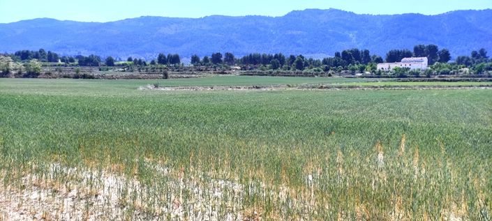 Image No.3-Property for sale