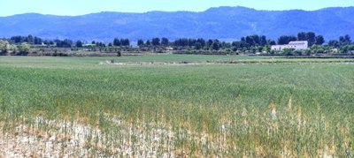 o1gvc0b76vaj214d06a71j0h1dj41c