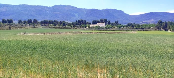 Image No.4-Property for sale