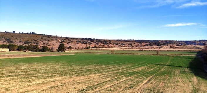 Image No.5-Property for sale