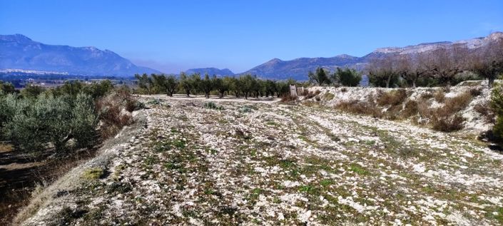 Image No.10-Propriété à vendre à Planes