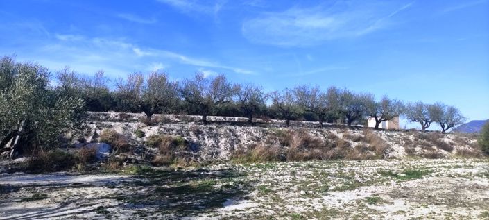 Image No.7-Propriété à vendre à Planes