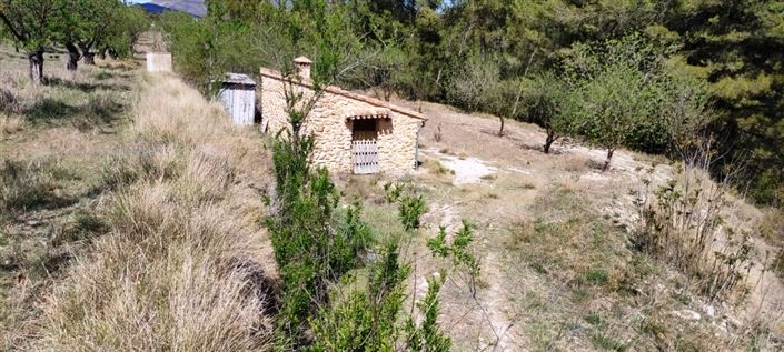 Image No.8-Propriété à vendre à Penáguila