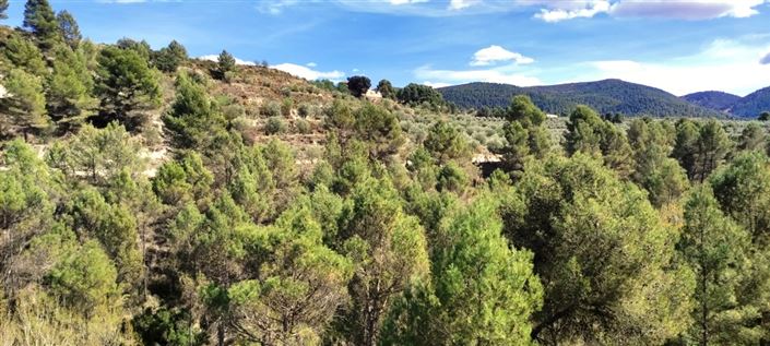 Image No.9-Propriété à vendre à Penáguila