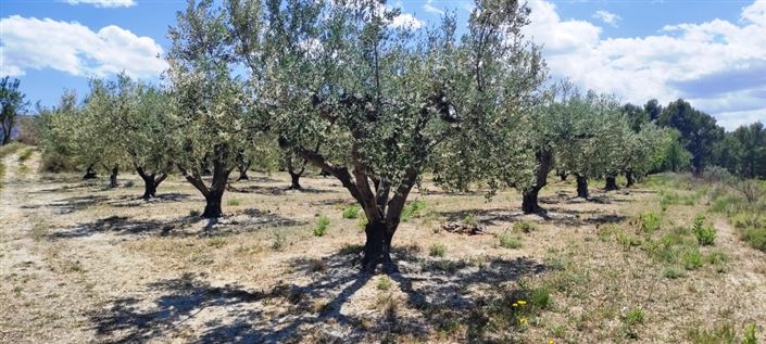 Image No.10-Propriété à vendre à Planes