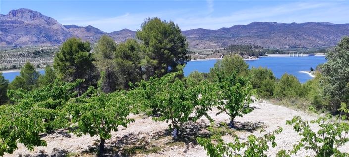 Image No.3-Propriété à vendre à Planes