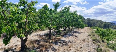 o1h079k538ku1r5sb44ntq1cg11u